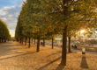 Tuileries