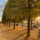 Tuileries