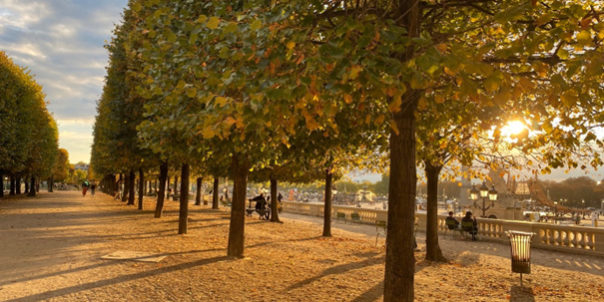 Tuileries