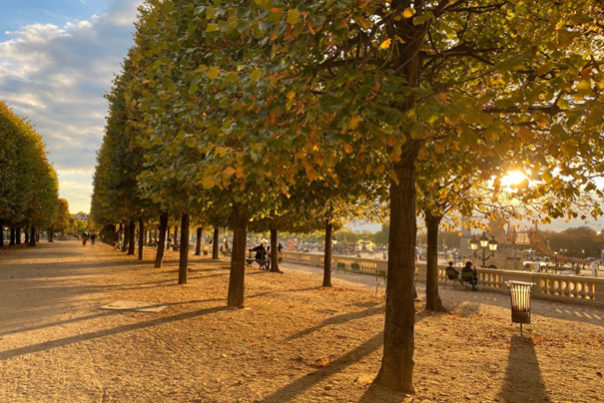 Tuileries